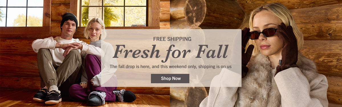 A promotional banner for a fall clothing collection, featuring a couple sitting on a rustic wooden floor and a blonde model wearing a white coat with a gray fur collar and sunglasses. The text overlay reads 'FREE SHIPPING Fresh for Fall' with a 'Shop Now' button.