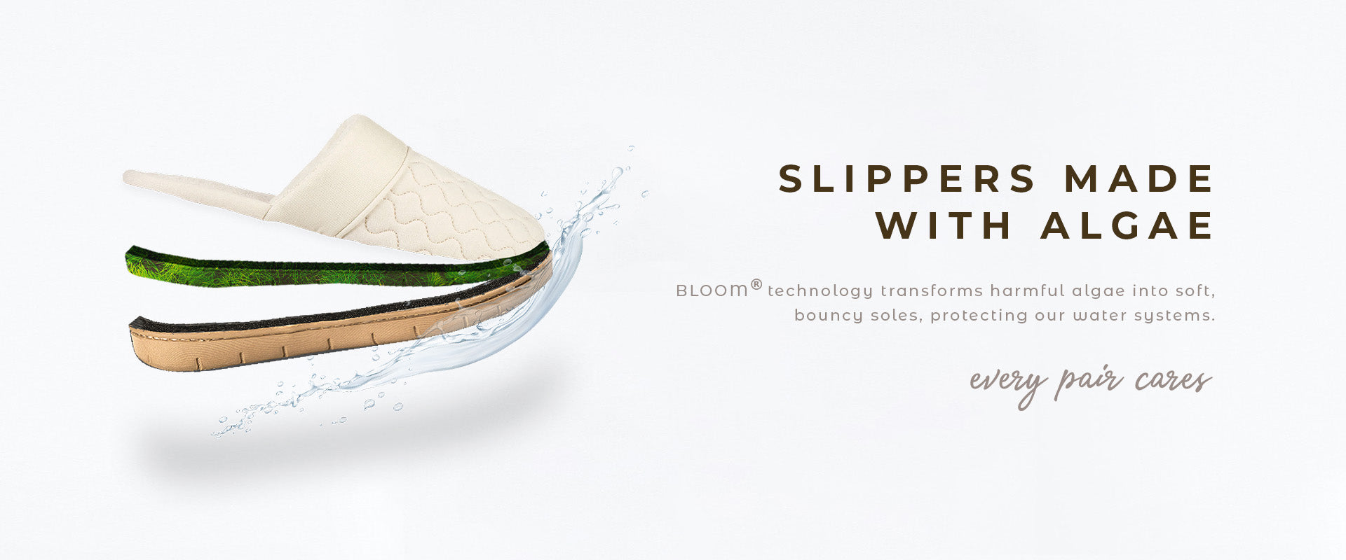 Slippers Made with Algae